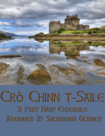 Crò Chinn t-Saile