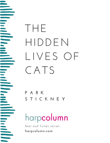 The hidden lives of cats