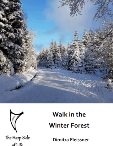 Walk in the Winter Forest