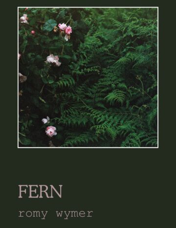 Fern