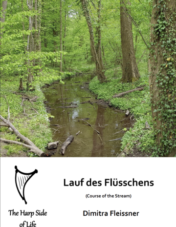 Lauf des Fluesschens