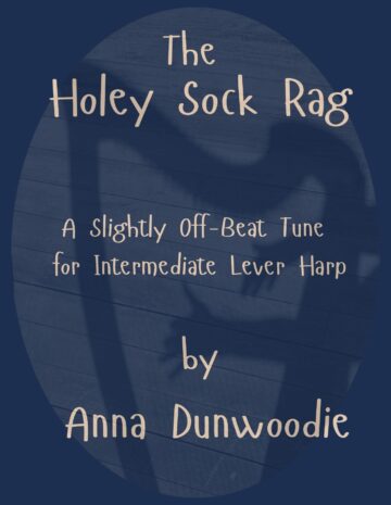 The Holey Sock Rag