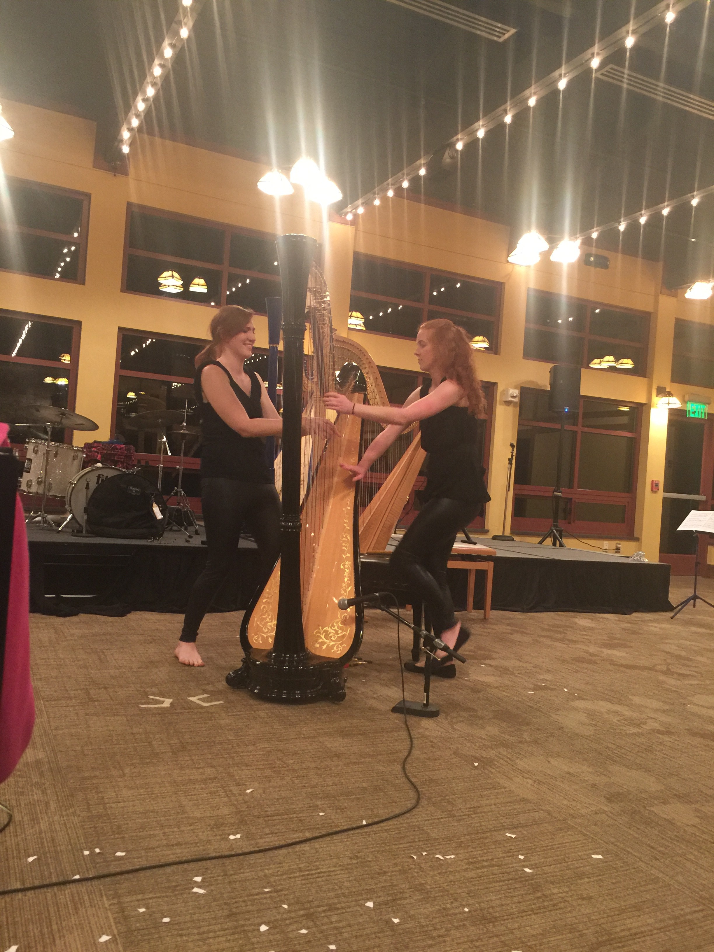 img_7392 Harp Column