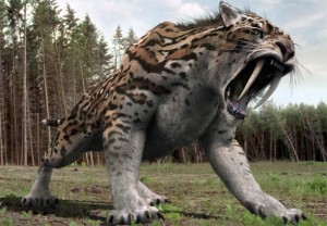 saber-toothed-tiger