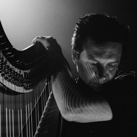 Tom Moth Track Stars | Harp Column