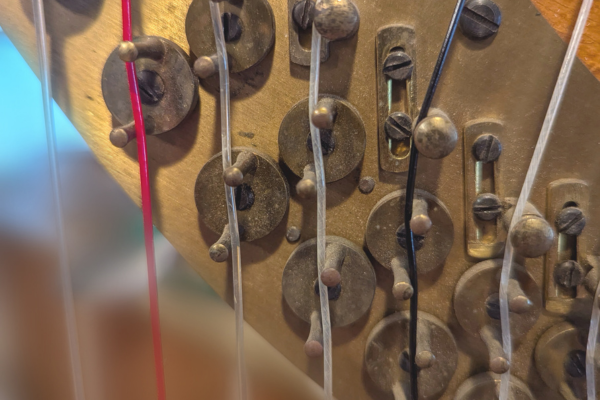 Rules & Regulations | Harp Column