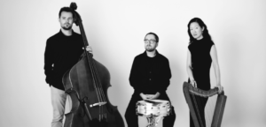 A black-and-white photo of the Rock City Falls trio members standing with their instruments against a white background