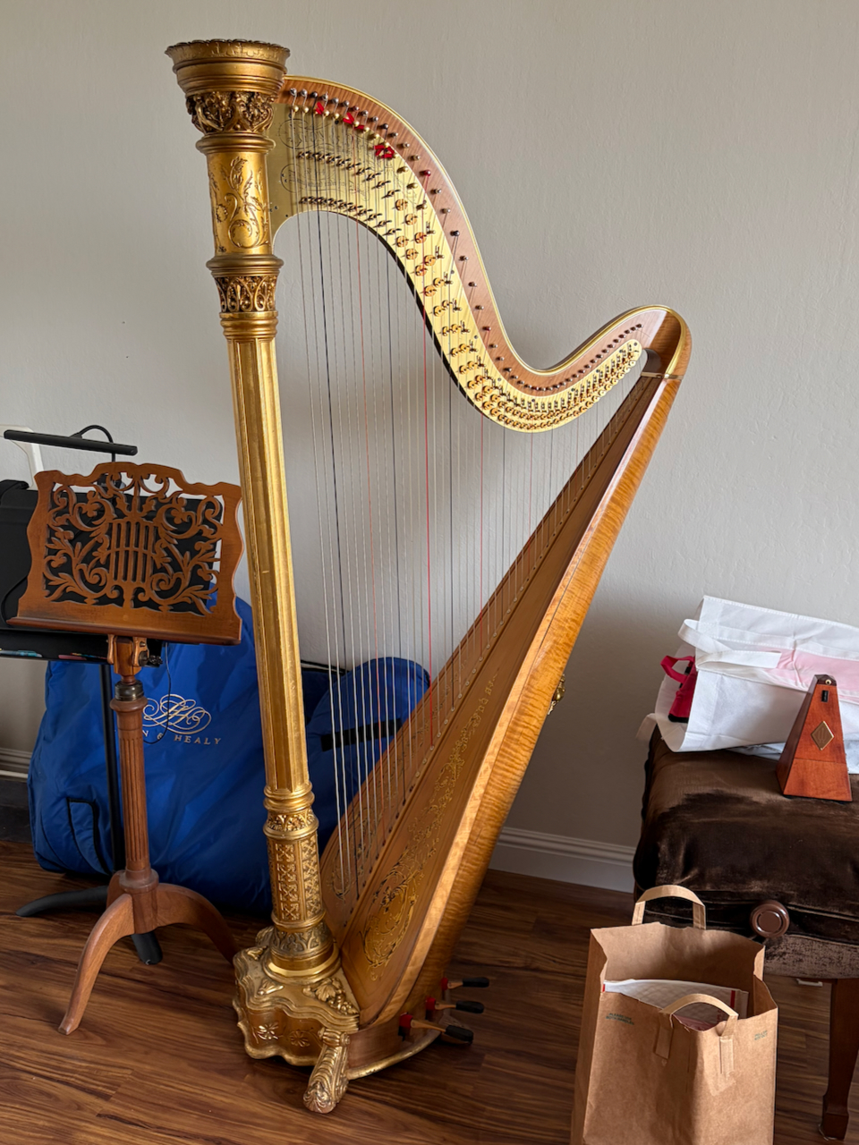 Lyon & Healy Style 22, #144, gold, 45 strings | Harp Column